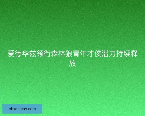 爱德华兹领衔森林狼青年才俊潜力持续释放